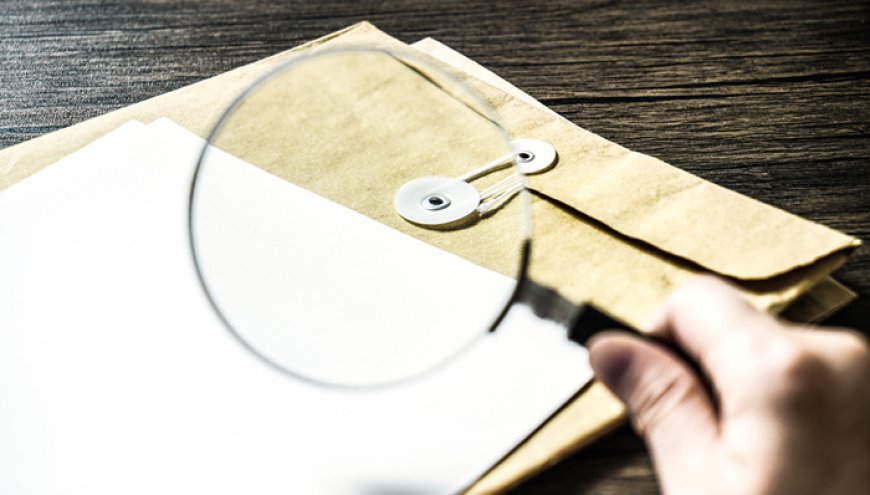 2025年国务院部门共采纳代表委员所提意见建议4900余条，出台相关政策措施2200余项