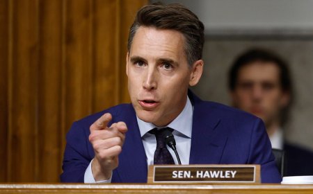 Hawley launches Google investigation after 'shocking' child trafficking testimony at Senate hearing