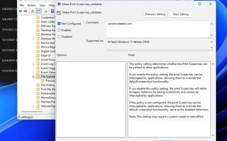 Windows 11的Print Screen键不再独占 第三方也能用