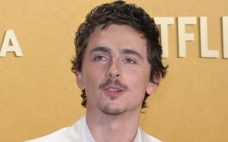 Timothée Chalamet Reminded Of His Origin Amid Performing Arts Controversy