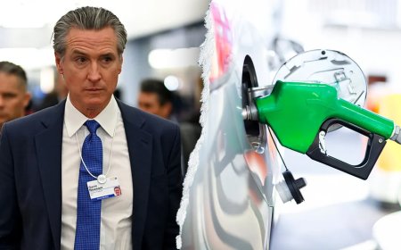 Newsom knocked for ‘insane’ California gas prices after blaming Trump for rising costs