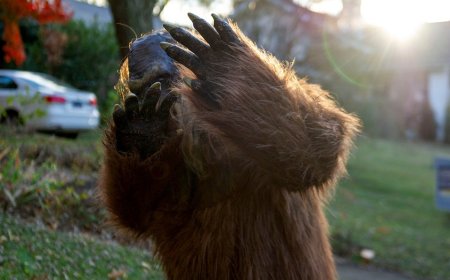 Six reported Bigfoot sightings in northeast Ohio within four days spark cryptid 'flap' speculation