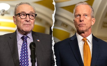 'You can cry about it': Tempers flare in Senate as DHS shutdown debate erupts, stalemate digs deeper