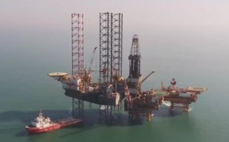 国际能源署成员国将释放4亿桶紧急石油储备 规模为史上最大