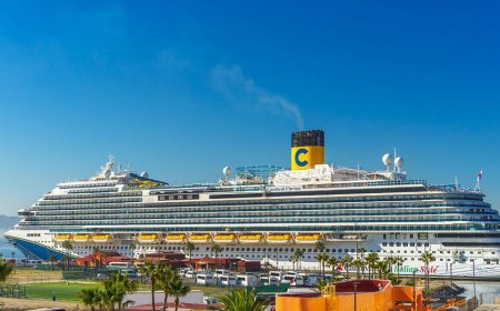 Major cruise line cancels planned sailings, upending vacations: 'Definitely a disappointment'