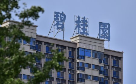 碧桂园澄清“大规模召回离职员工”传闻：仅针对少量特定岗位需求开展