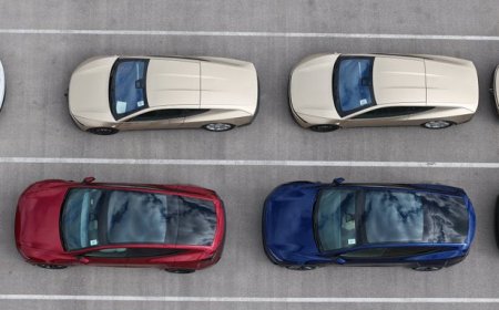 特斯拉 Cybercab 与 Model Y 同框，体型差异一目了然