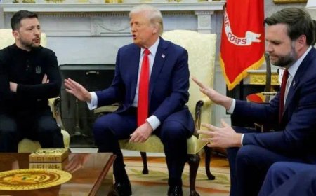 美国承诺，只要割地，就给乌克兰一个天堂，乌方在谈判现场瘆得慌