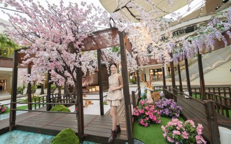 三井OUTLET拼母親節全館2折起3／27開跑　滿額還送日本氣炸鍋