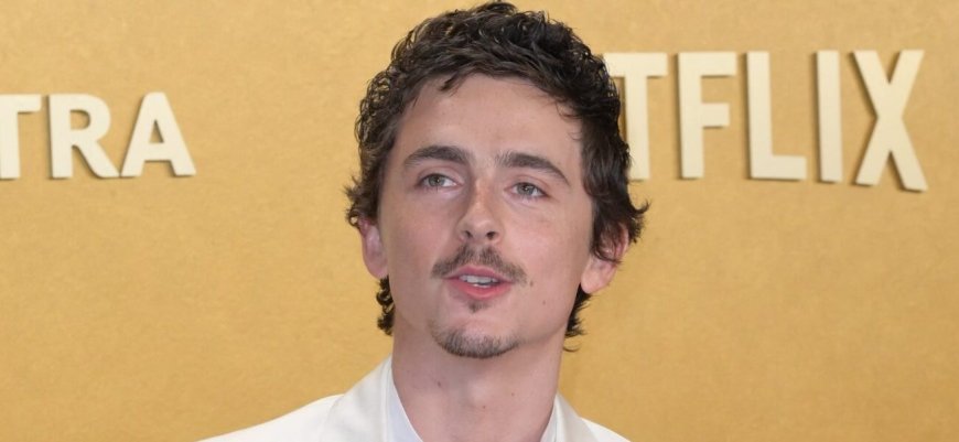 Timothée Chalamet Reminded Of His Origin Amid Performing Arts Controversy