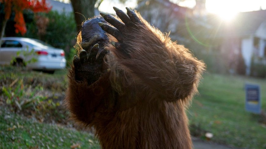 Six reported Bigfoot sightings in northeast Ohio within four days spark cryptid 'flap' speculation