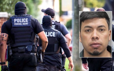 ‘Virginia father’ charged with murdering infant daughter is illegal alien, says DHS