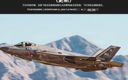 突发！美军一架F-35A坠毁，又是早期批次飞控问题？