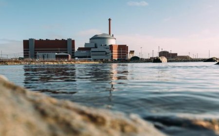 德国经济部长呼吁重新审视反核电立场