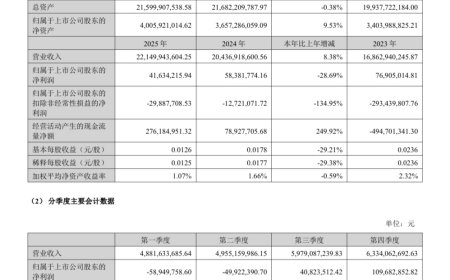 欧菲光 2025 年营收 221.5 亿元同比增长 8.38%，净利润同比下降 28.69%