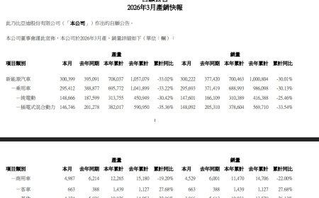 比亚迪 3 月销售 300222 辆环比翻番，获得中国车企销量冠军
