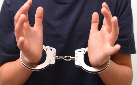 太子集团骨干李雄被押回中国，曾借柬埔寨权势家族拓展势力