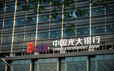 业绩承压如何破局？光大银行管理层回应营收利润波动