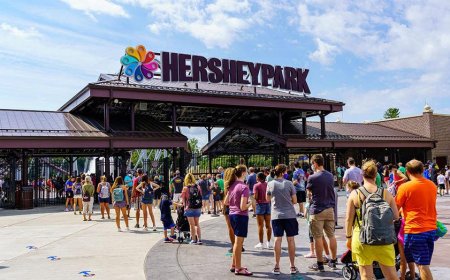 'Unsupervised' child at Hersheypark zoo injured by wolf after crawling under safety barrier
