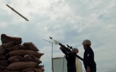 伊朗使用土耳其导弹击落美军战机？土总统府辟谣