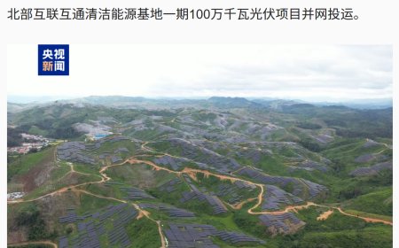 我国开发的东南亚单体最大光伏项目投运，一期投产后预计年均发电量约 16.5 亿千瓦时