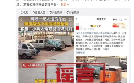 交警辟谣“青岛无人车碾压路边小狗后驶离”