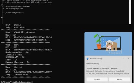 开发者不满微软 MSRC 安全部门响应流程，公开披露 Windows 本地提权零日漏洞