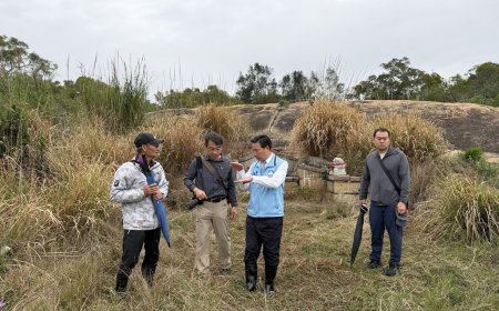 金門陳顯墓「4層結構」曝！糯米三合土層擋住盜挖...棺槨未遭破壞