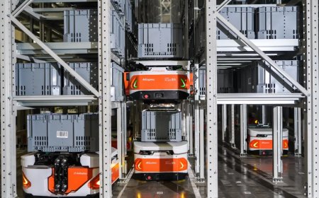 10 秒爬上 5 层楼高货架，菜鸟发布首款自研“攀爬机器人”ZeeBot