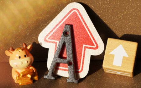 创业板指刷新十年新高！医药板块表现活跃，后市将如何演绎？