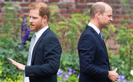 Prince William’s ‘ruthless side’ emerges as he views Prince Harry as ‘untrustworthy': experts