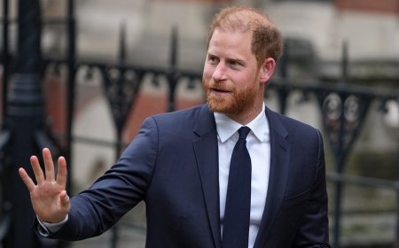 Prince Harry 'reembraced' royal identity to land Hollywood deals, expert claims after Australia trip