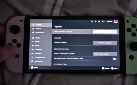 兼容层 Proton 打通 Arm 架构，任天堂 Switch 游戏掌机成功运行 Steam