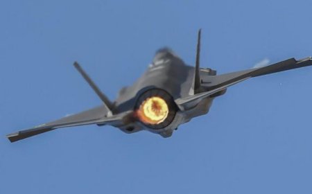 澳大利亚防长：将加大无人机和自主武器系统投入