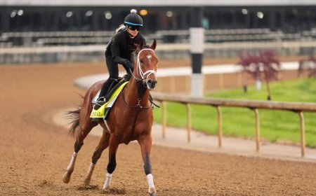 Who will win the Kentucky Derby? With no dominant favorite, odds are sure to shift