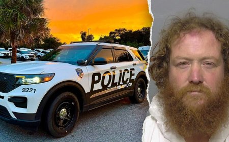 Florida man allegedly shot woman in neck, dragged her back inside before hiding in backyard pool