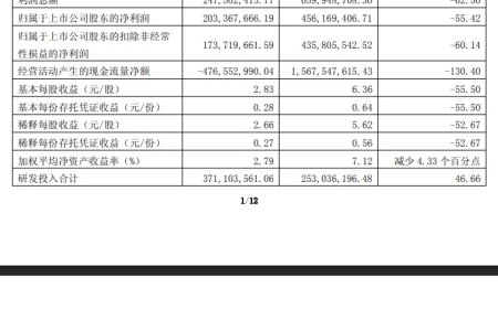 九号公司 2026 年一季度净利润 2.03 亿元，同比下降 55.42%