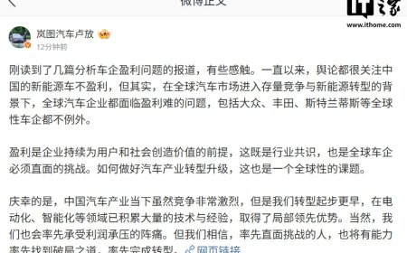 岚图汽车董事长卢放：舆论很关注中国新能源车不盈利，但其实全球汽车企业都面临盈利难问题