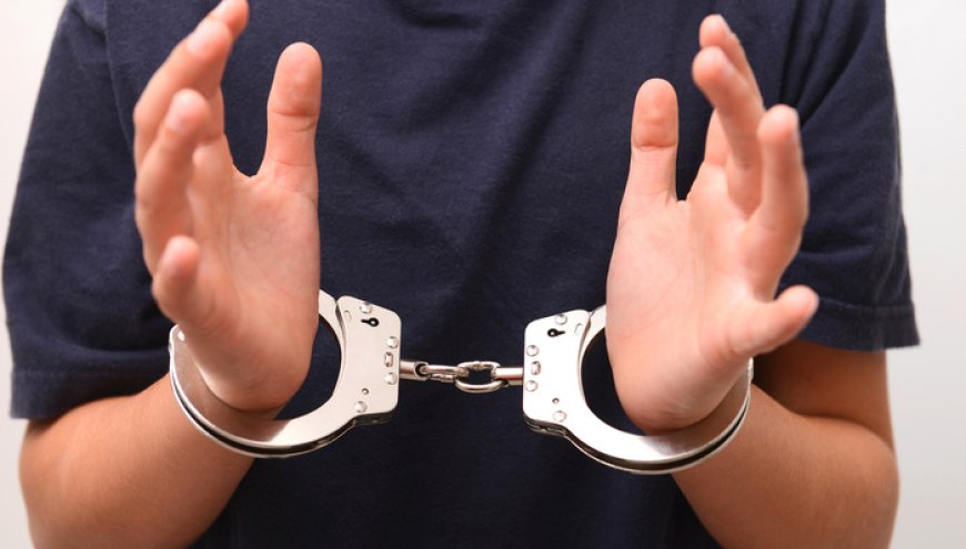 太子集团骨干李雄被押回中国，曾借柬埔寨权势家族拓展势力