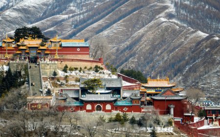大学生及户外“新手”为主，五台山台顶300人受困风雪后被安全转移