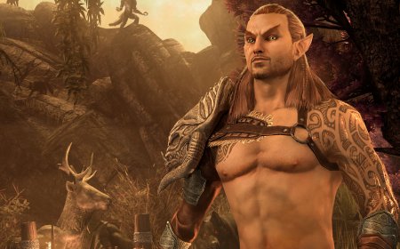 Former Elder Scrolls Online boss was told in 2001 that 'There's already enough MMOs out there, no one is ever gonna play a new one'