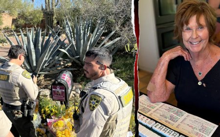 Nancy Guthrie missing 100 days as sheriff says 'nothing new' and volunteer groups are shut out of search