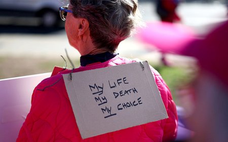 Michigan Democrats propose package seeking to legalize assisted suicide