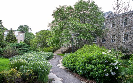 Liberal arts college drops prof’s name from campus hall after grave dig controversy