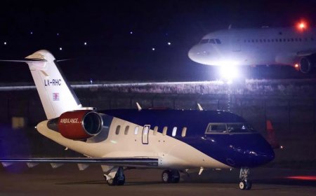 暴发疫情游轮上最后一批人员抵达荷兰