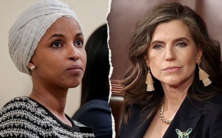 Omar confronted on camera over GOP proposal targeting foreign-born lawmakers: ‘Good luck to her’