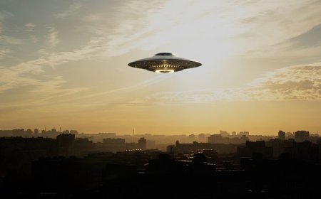 UFO insider claims US has bodies of 4 different alien species from downed spacecraft in government custody