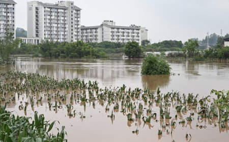 重庆特大暴雨已致9人死亡！紧急避险转移工作正在推进