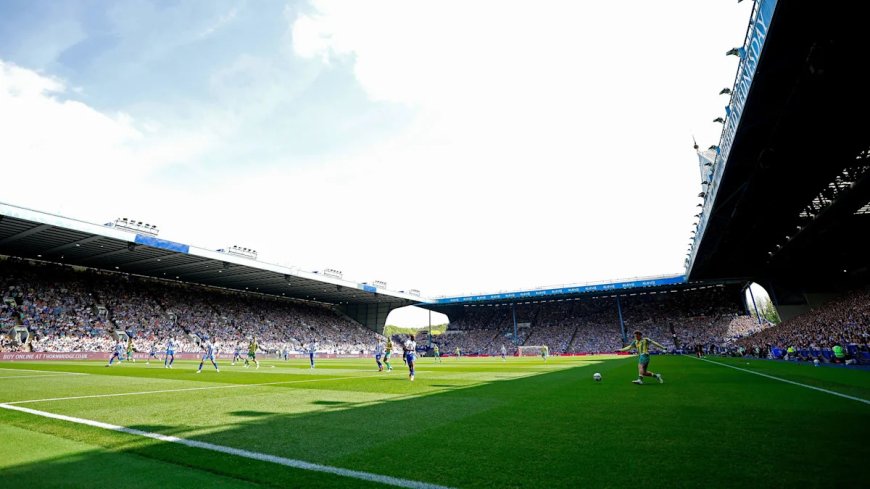 'Cheers and tears of relief - it's never just a game'
