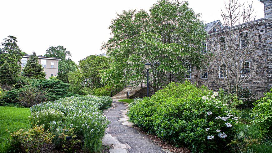 Liberal arts college drops prof’s name from campus hall after grave dig controversy